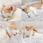 [Soft Donut Cat Bed Nest]