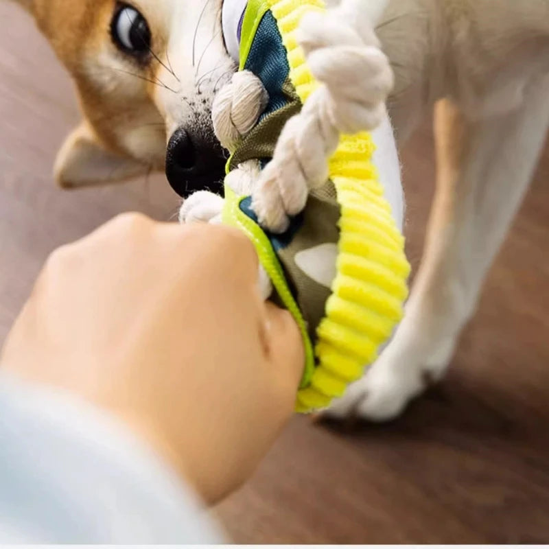 Dog Toys Shoes