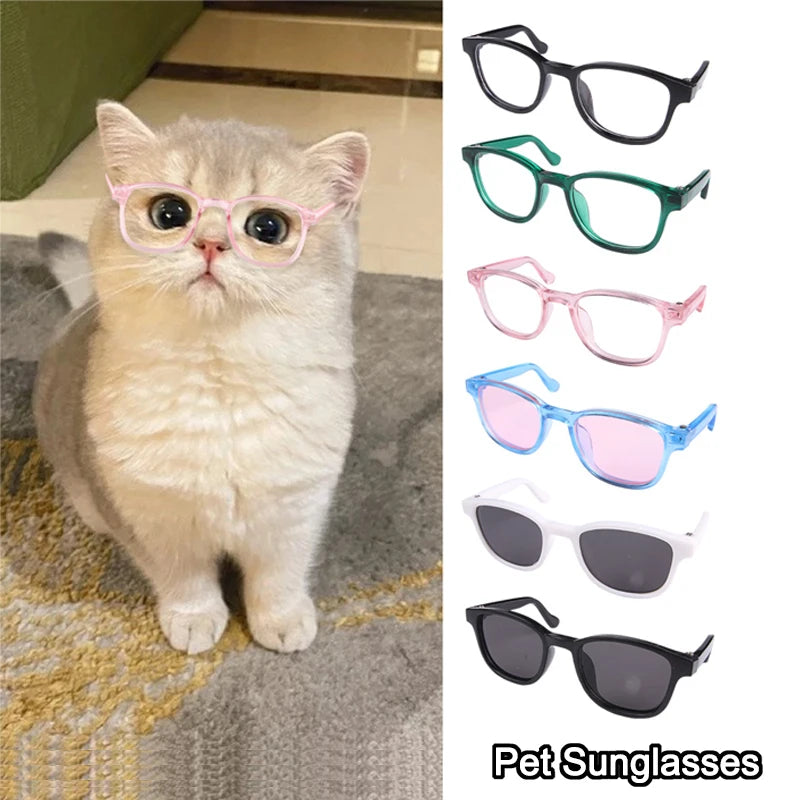 Sunglasses Glasses Cat Sunglasses Dog Sunglasses
