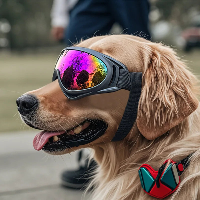 Pet Adjustable Dog Goggles Sunglasses Anti-UV Sun Glasses