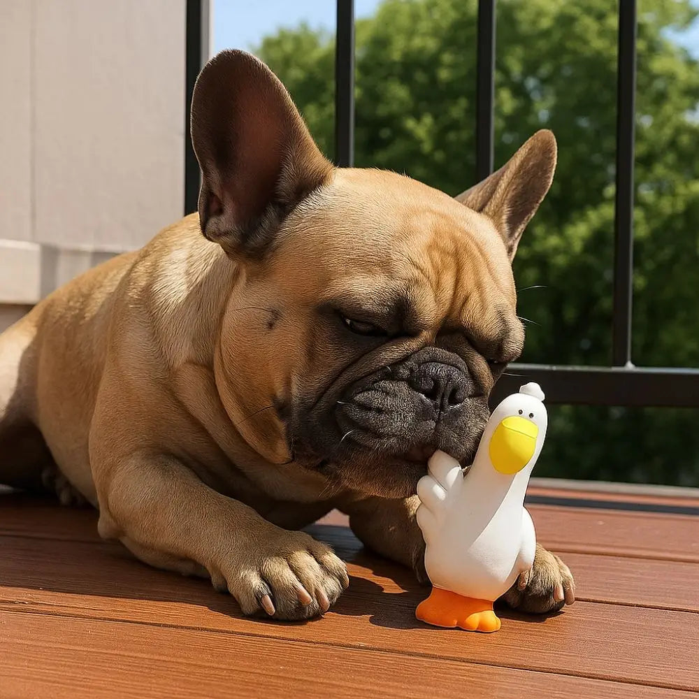 Pet Latex Toys Pelican Shape