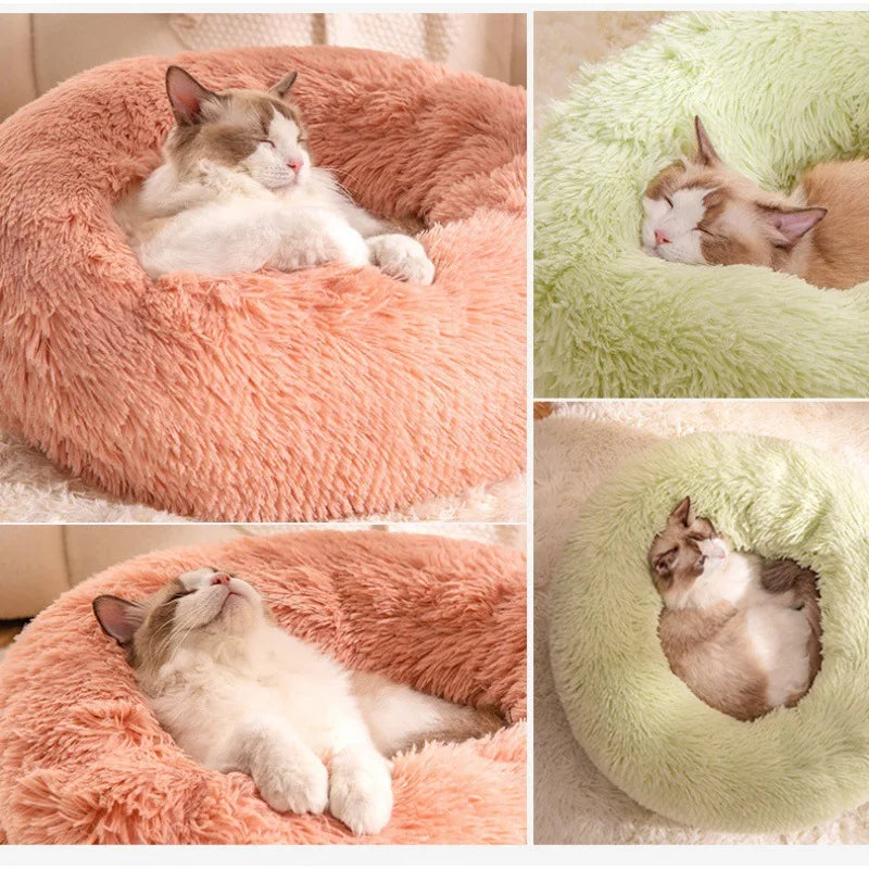 Cat Beds Are Suitable for All Seasons