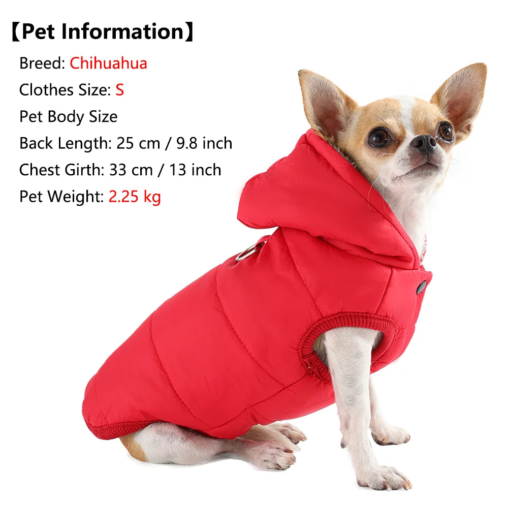 Winter Fleece Cat Clothes Warm Kitten Jacket Hoodies Waterproof Pet Coat Soft Comfortable with D-Ring for Dogs Sphynx Supplies