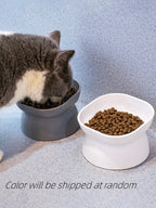 1Pc Pet bowl, water and food feeder, for cat and small dog