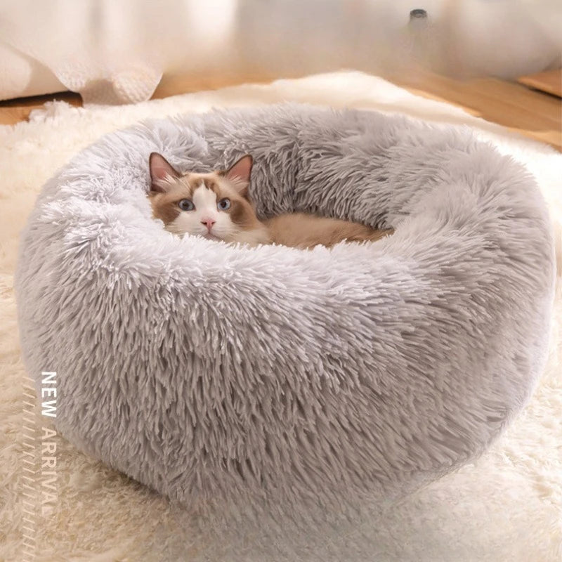 Cat Beds Are Suitable for All Seasons