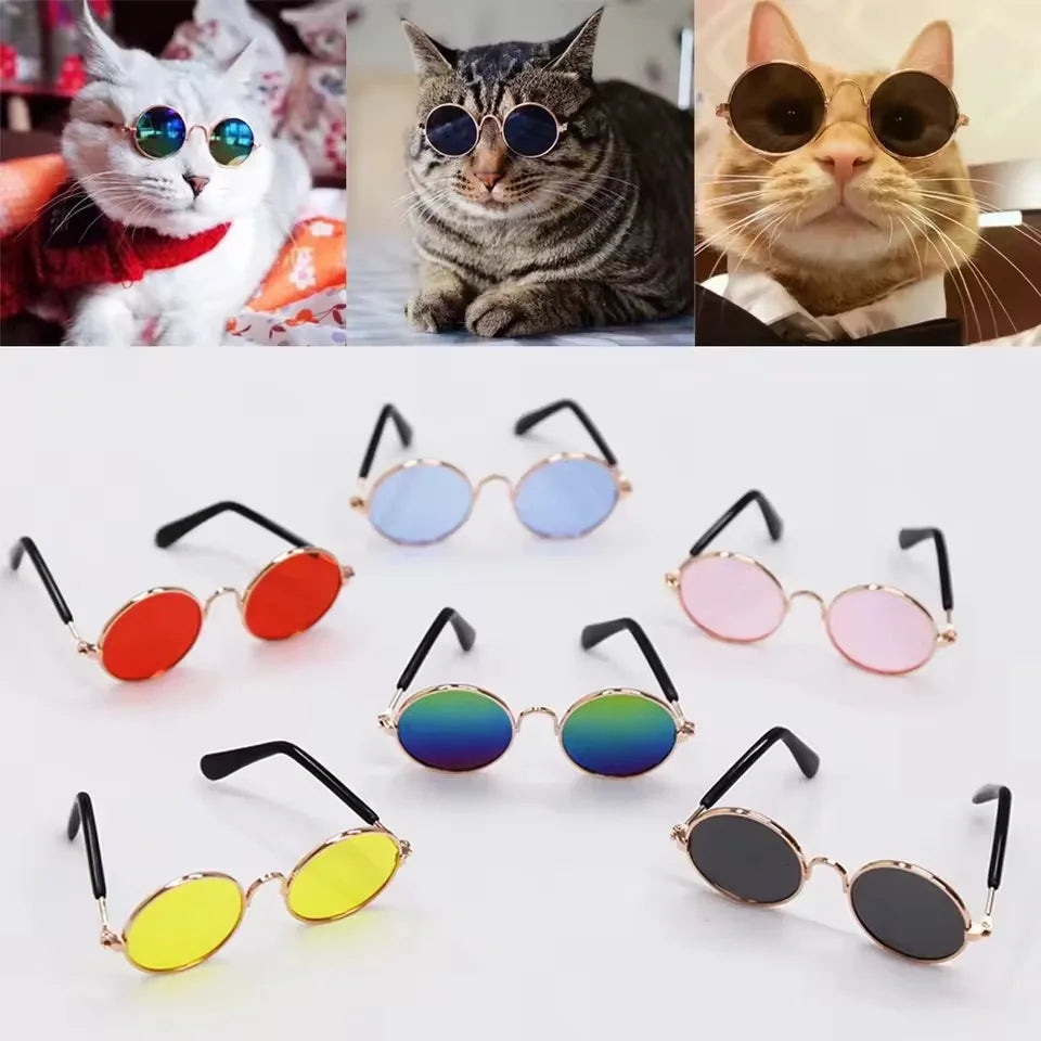 Sunglasses Glasses Cat Sunglasses Dog Sunglasses