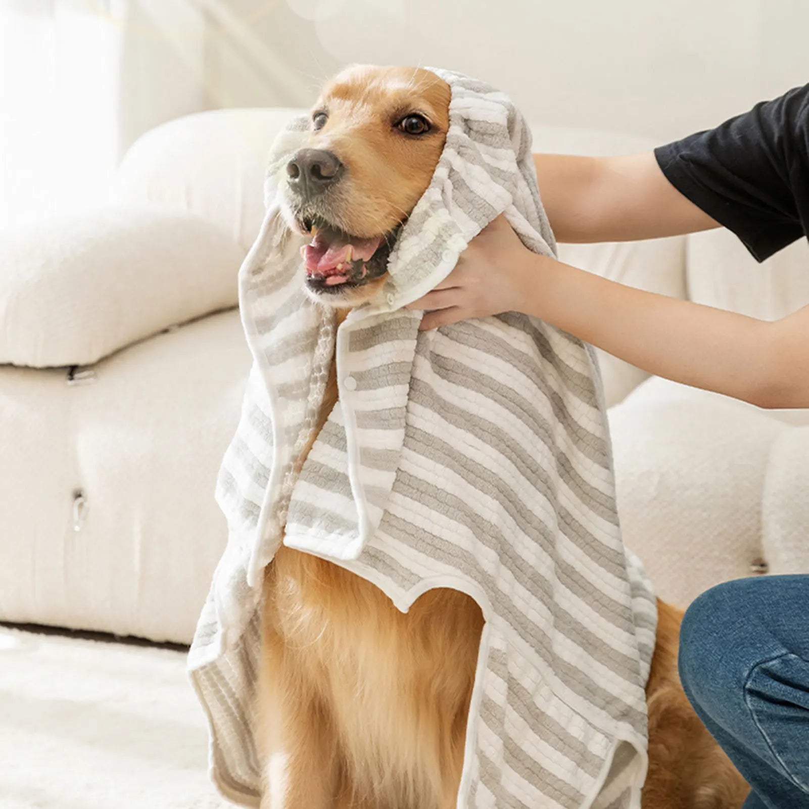 Bathrobe For Dogs
