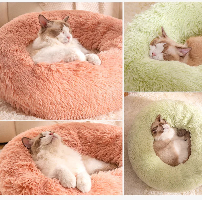 Cat Beds Are Suitable for All Seasons