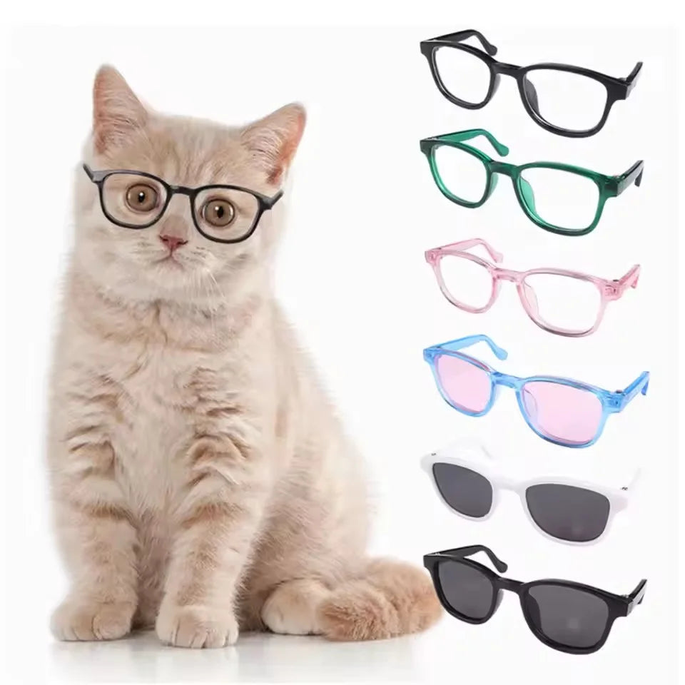 Sunglasses Glasses Cat Sunglasses Dog Sunglasses