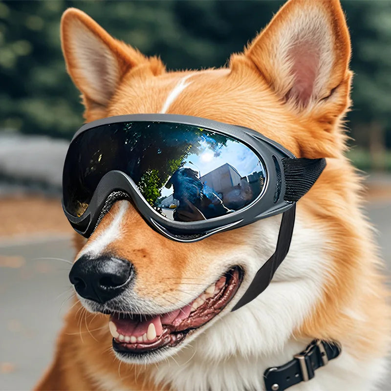 Pet Adjustable Dog Goggles Sunglasses Anti-UV Sun Glasses