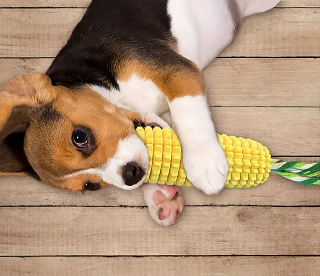 Dog chew toys for aggressive chewers