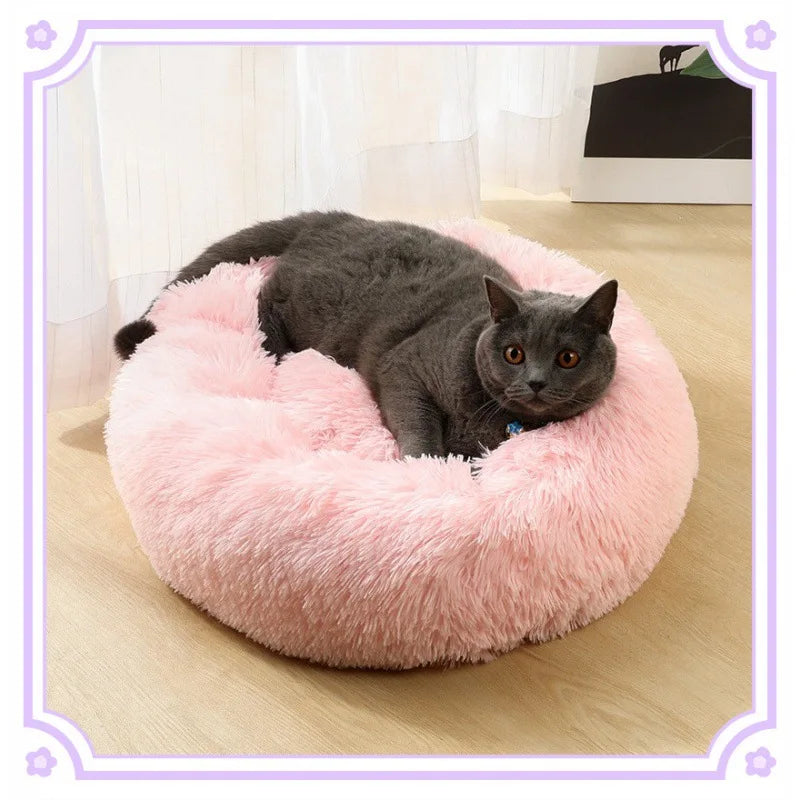 Cat Beds Are Suitable for All Seasons