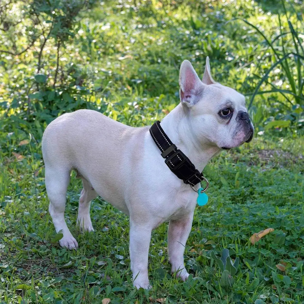 Adjustable Dog Collar Reflective Dog Collar